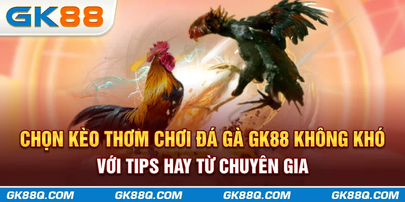 chon-keo-thom-choi-da-ga-gk88q-com-khong-kho-voi-tips-hay-tu-chuyen-gia