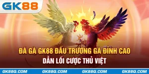 da-ga-gk88q-com-dau-truong-ga-dinh-cao-dan-loi-cuoc-thu-viet