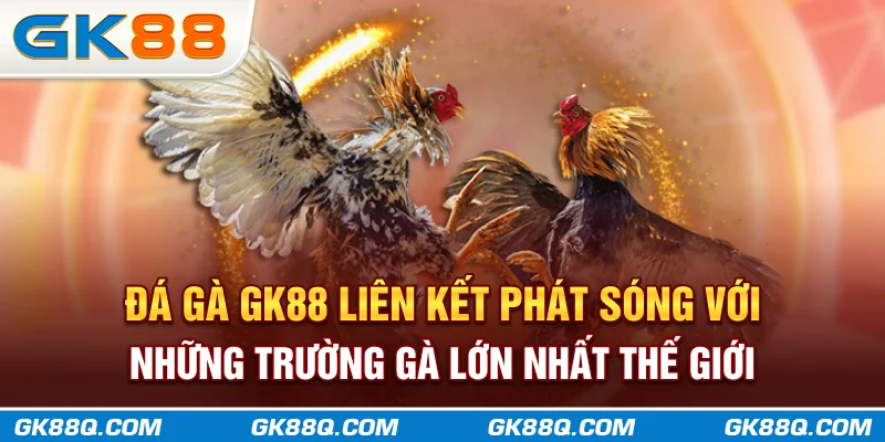 da-ga-gk88q-com-lien-ket-phat-song-voi-nhung-truong-ga-lon-nhat-the-gioi