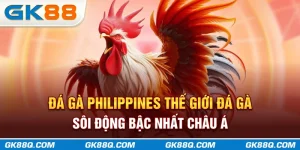 da-ga-philippines-the-gioi-da-ga-soi-dong-bac-nhat-chau-a-gk88q-com