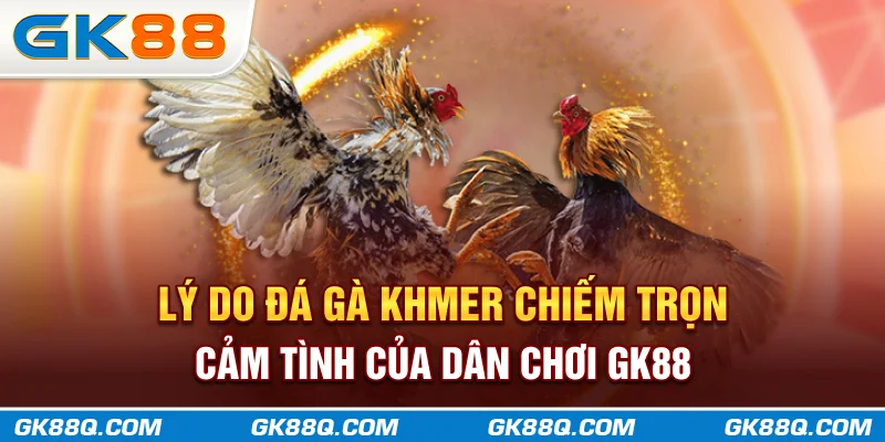 ly-do-da-ga-khmer-chiem-tron-cam-tinh-cua-dan-choi-gk88q-com