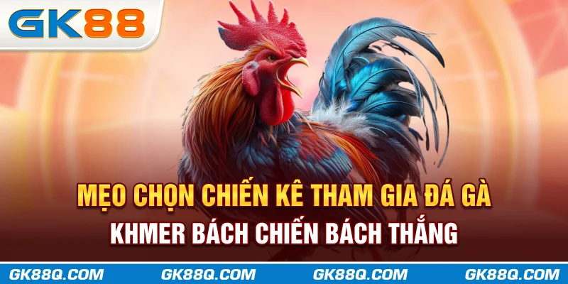 meo-chon-chien-ke-tham-gia-da-ga-khmer-bach-chien-bach-thang-gk88q-com