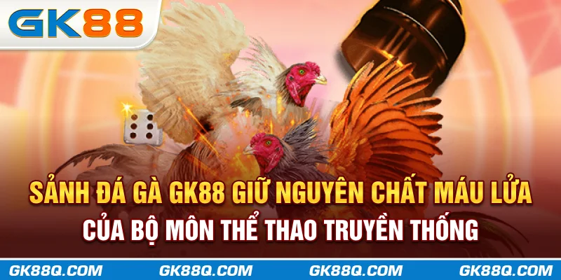 sanh-da-ga-gk88q-com-giu-nguyen-chat-mau-lua-cua-bo-mon-the-thao-truyen-thong